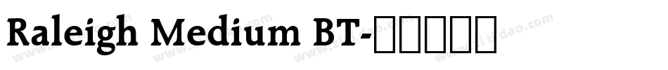 Raleigh Medium BT字体转换